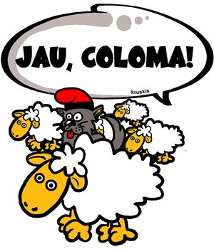 Bidon 800 ml Catalunya Jau Coloma