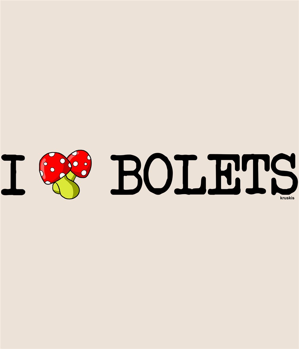 Bolsa Algodon Catalunya I Love Bolets