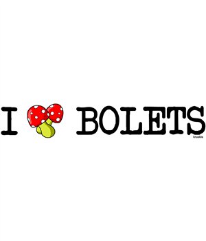 Bidon 800 ml Catalunya I Love Bolets