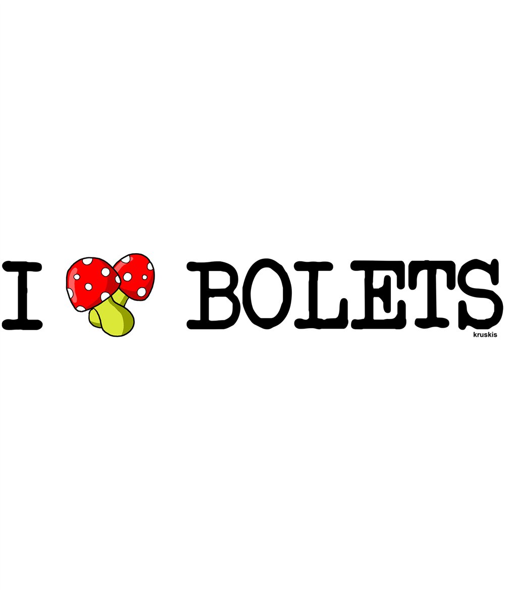 Flasche 800 ml Katalonien I Love Bolets