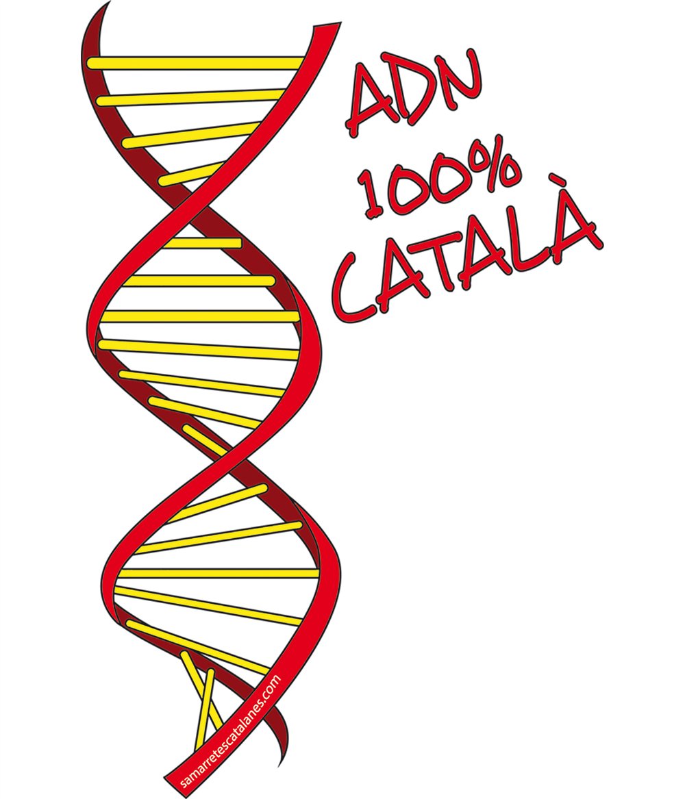 Samarreta Catalunya ADN 100x100 Catala Maniga Curta Home