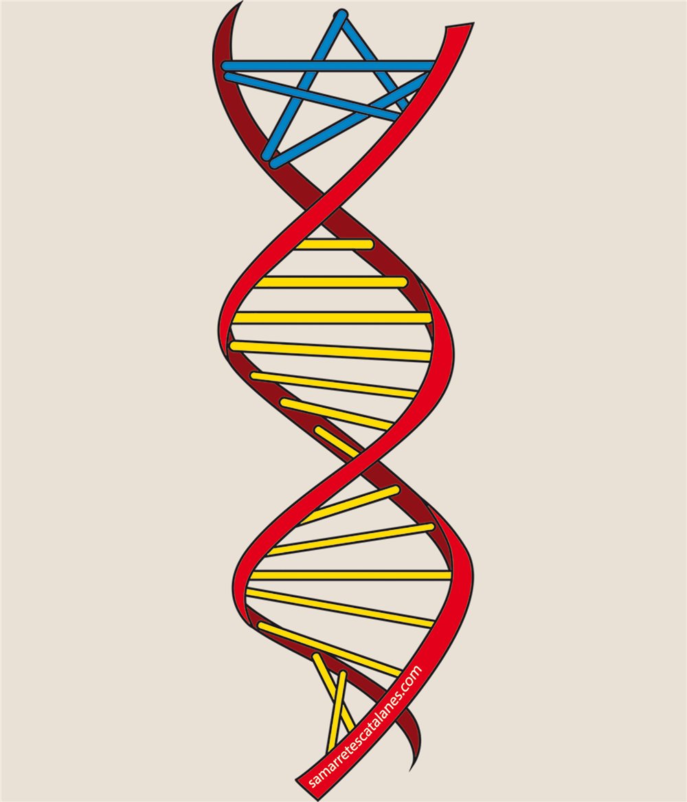 Bolsa Algodon Catalunya ADN Independent