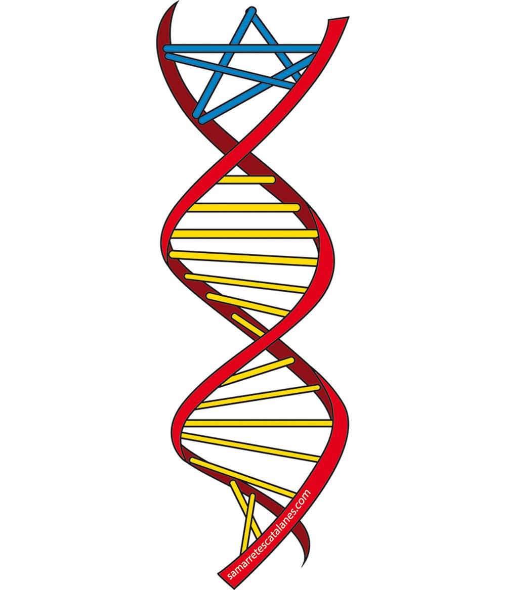 Bouteille 800 ml Catalogne ADN Independent