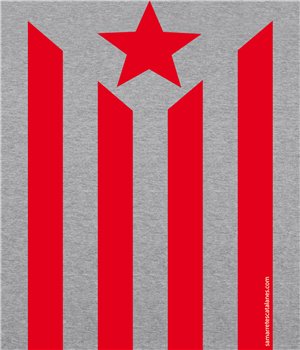 Kapuzenpullover Katalonien Estelada Unisex
