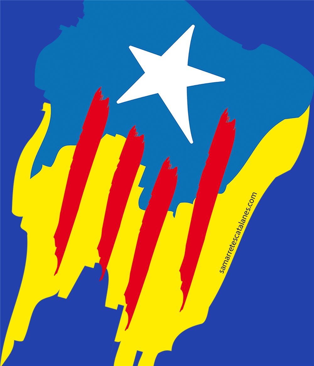 Felpa Catalogna Estelada Pintada Unisex