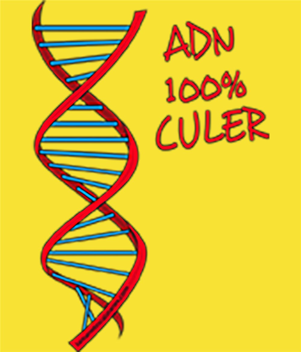Camiseta Catalunya ADN 100x100 Cule Manga Corta Hombre
