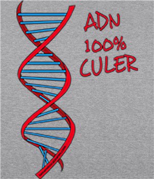 Dessuadora Catalunya ADN 100x100 Cule Unisex