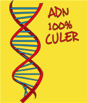 Samarreta Catalunya ADN 100x100 Cule Maniga Curta Dona