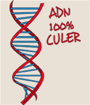 Sac Coton Catalogne ADN 100x100 Cule