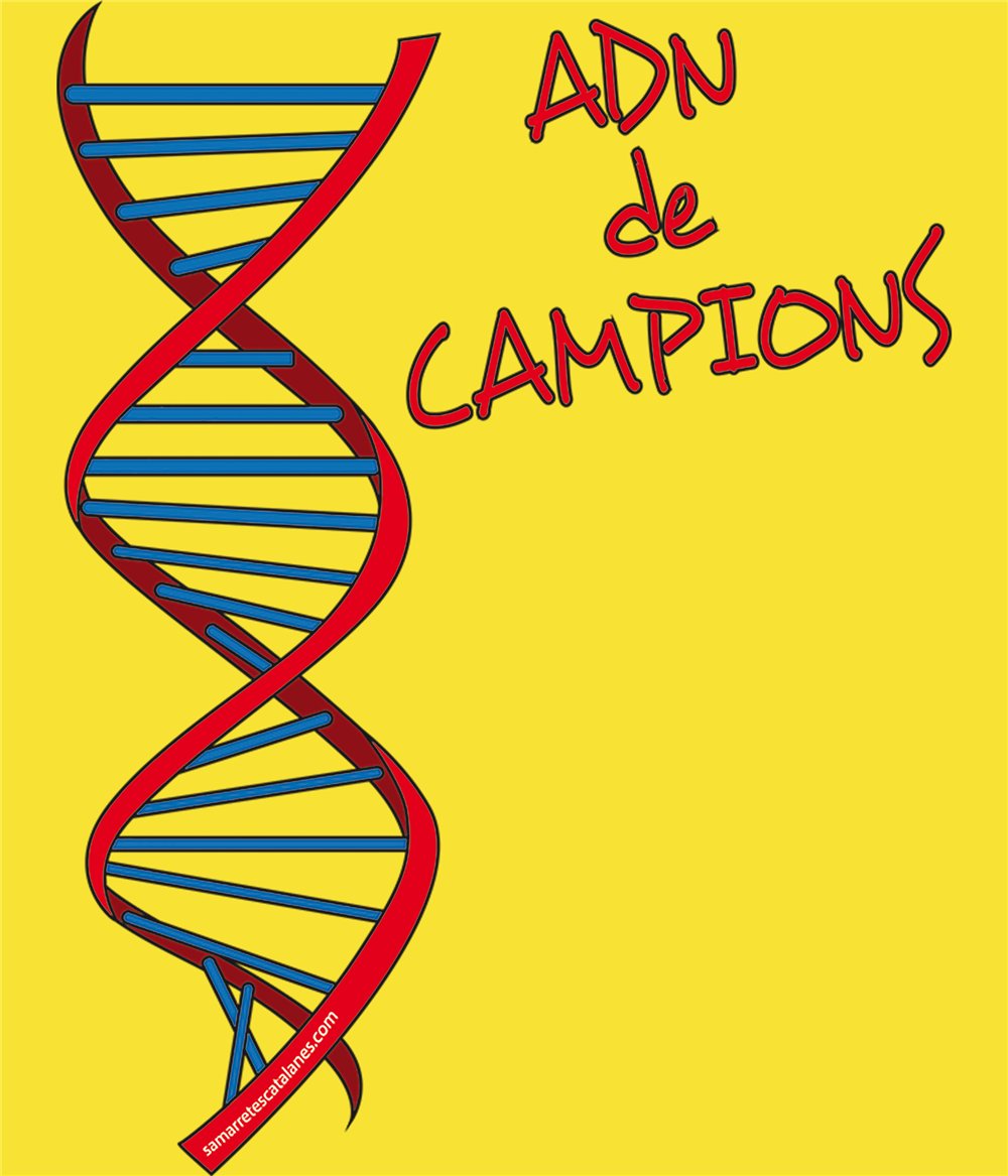 T Shirt Catalogne ADN de Campions Manche Courte Homme